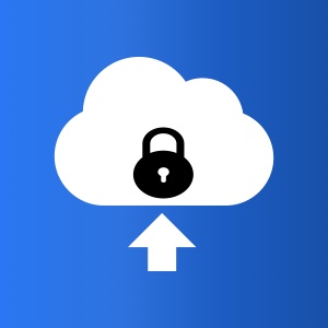 TigerVault Professional Secure Cloud Backup